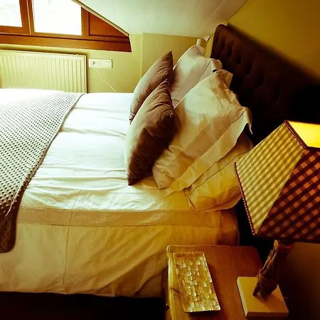 Apartamentos Formigal * Formigal