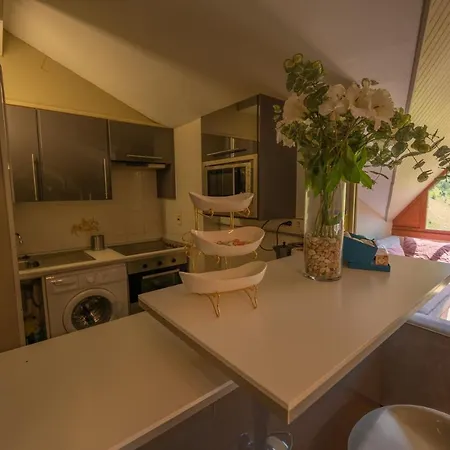 Apartment Apartamentos Formigal *