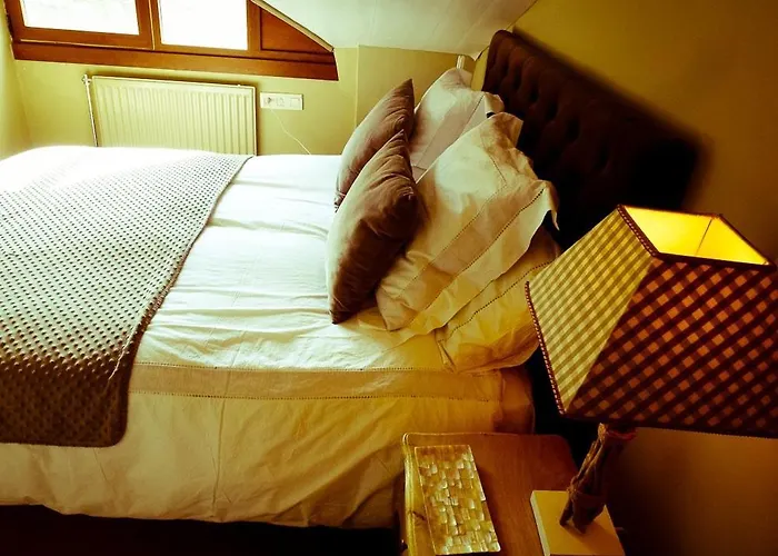 Apartamentos Formigal * Formigal